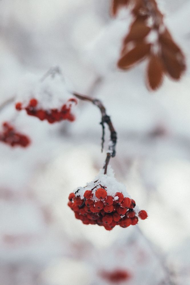 Photograph by Ирина Резнюк