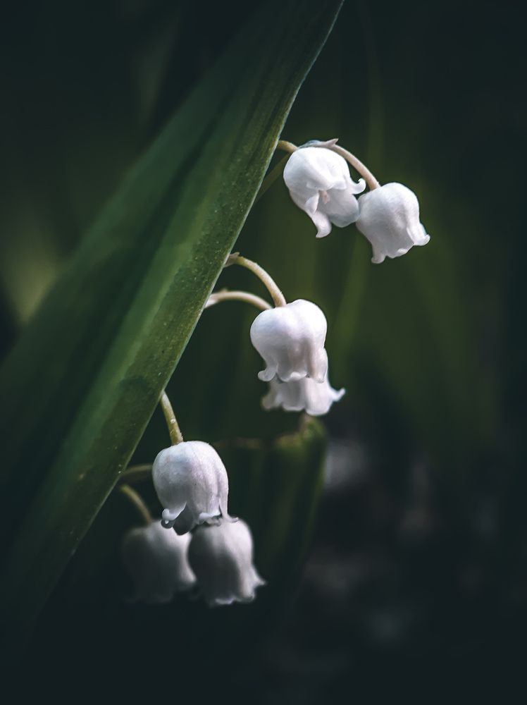 Photograph by Юлия Быкова