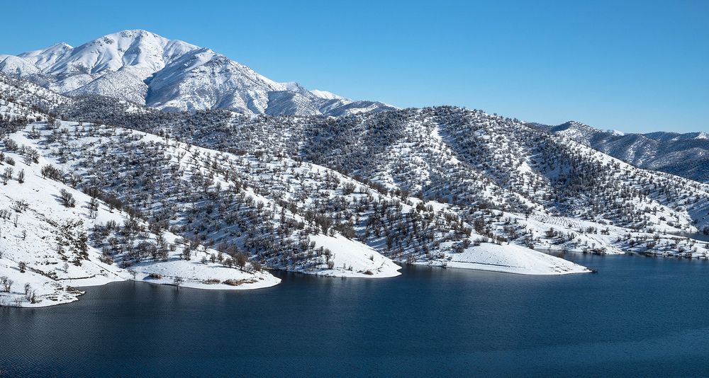 Photograph by shahoo moradi