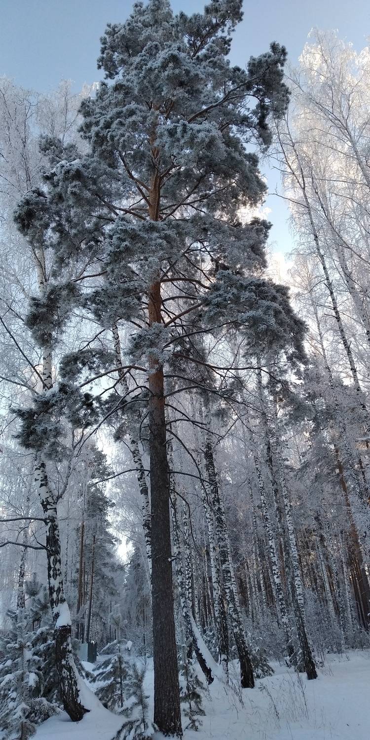 Photo #7108049