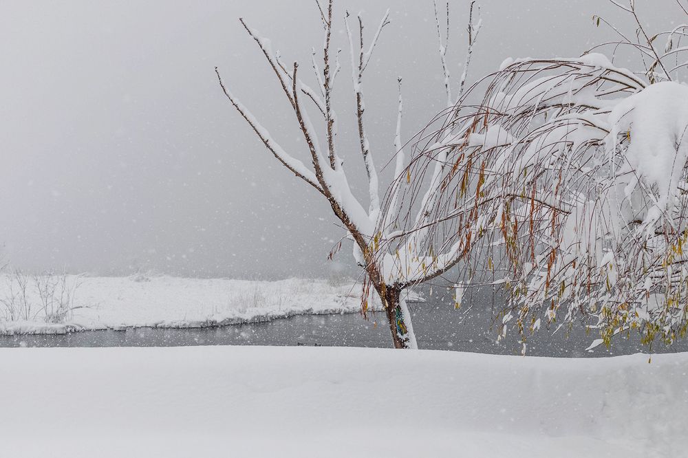 Photograph by shahoo moradi