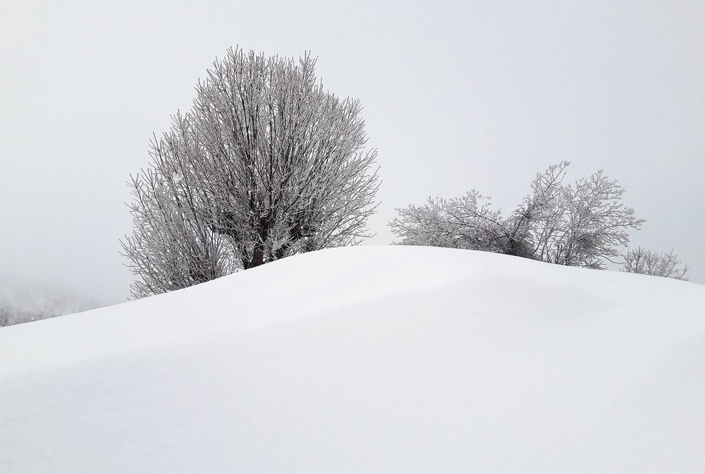 Photograph by shahoo moradi