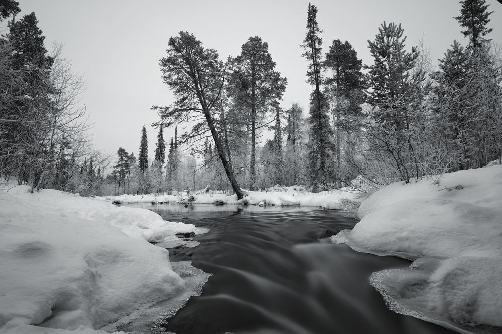 Photograph by Андрей Лабутин