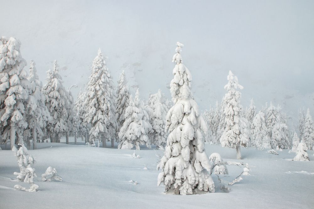 Photograph by Болякин Вячеслав