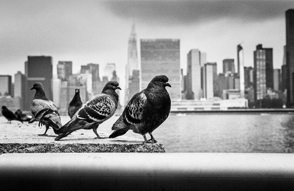 Photograph by Anatoly Vishnev