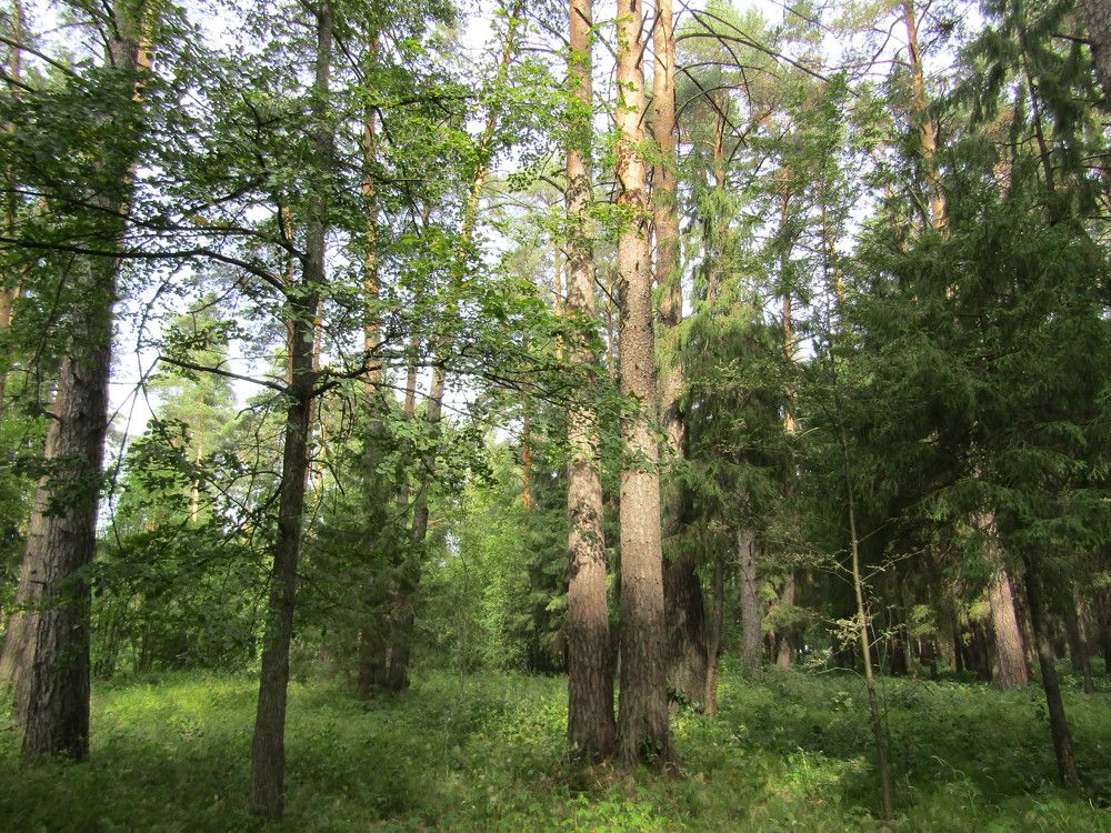 Photograph by Николай Худяков