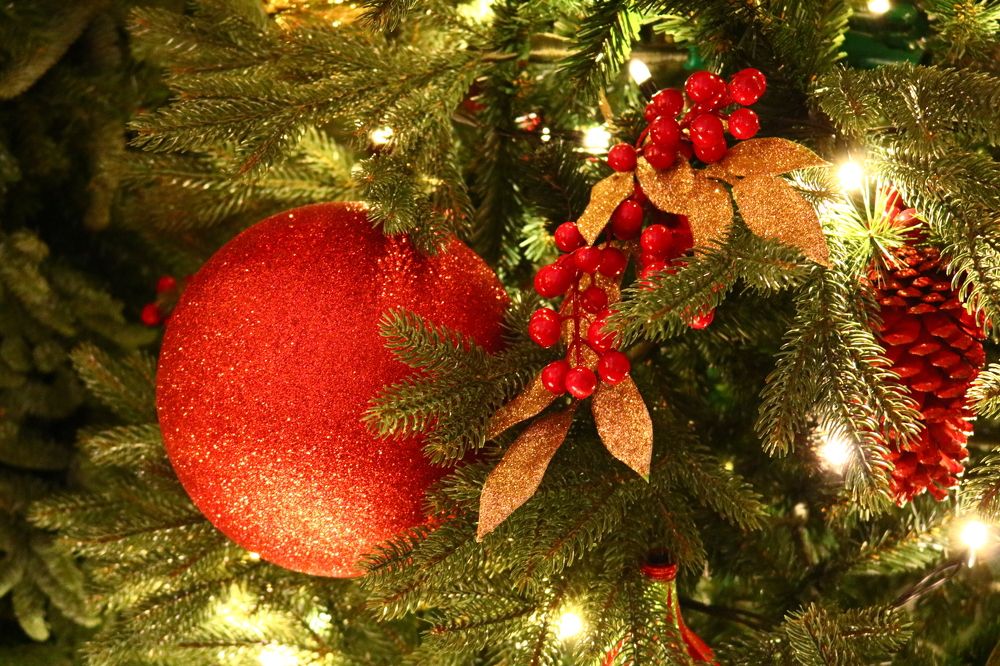 Photograph by Светлана Шуткова