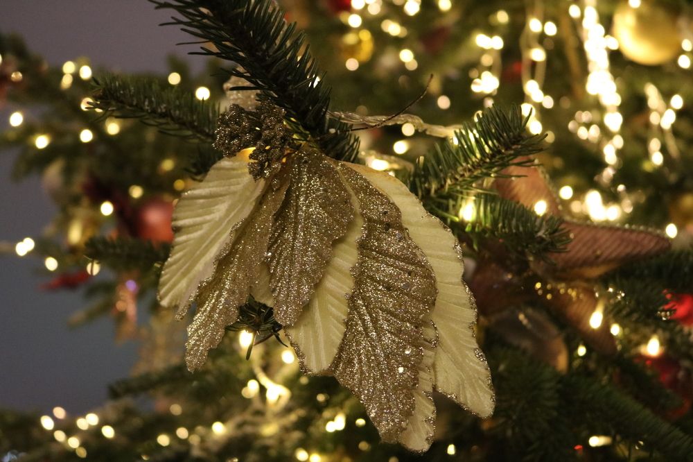 Photograph by Светлана Шуткова