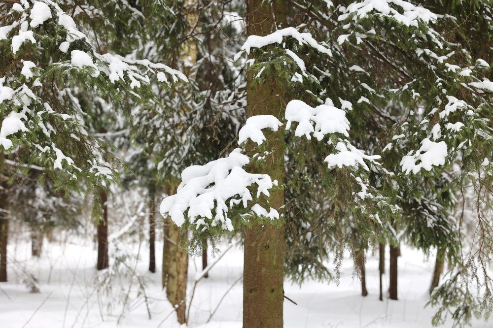 Photograph by Андрей Митькин