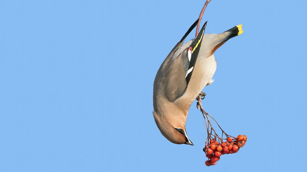 Photograph by Олег Колмаков