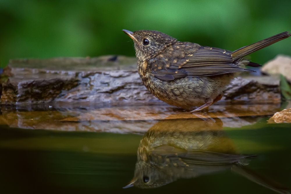 Photograph by Марат Кучкаев