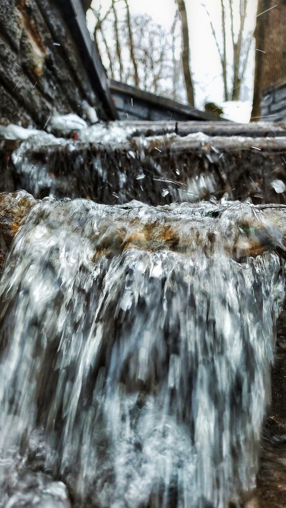 Фотография автора Елена Ерешко