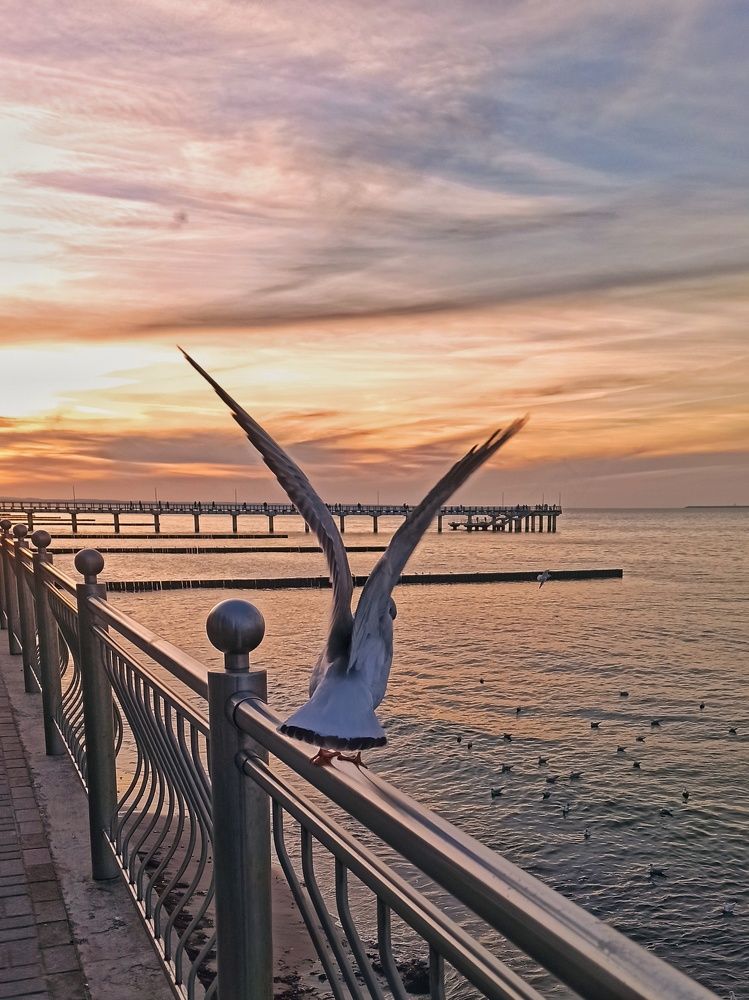 Photograph by Сергей Жигульский