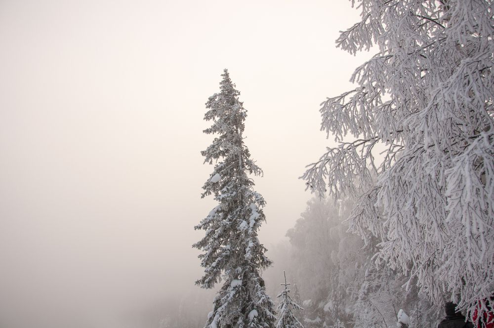 Photograph by Николай Полыгалов