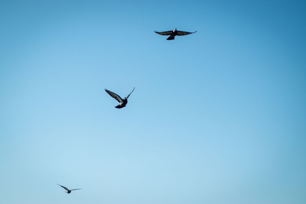 Фотография автора Дарина