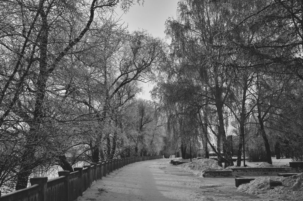 Photograph by Сергей Стукен