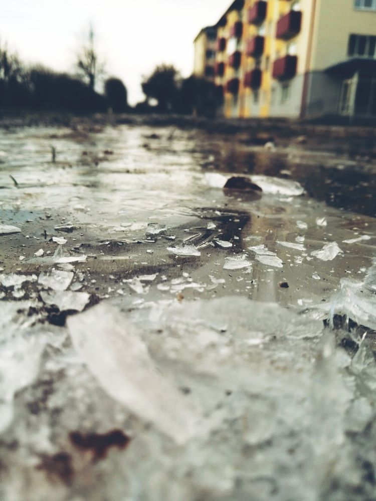 Фотография автора Елена Ерешко