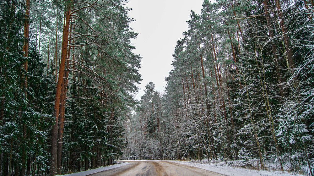 Фотография автора Елена Ерешко