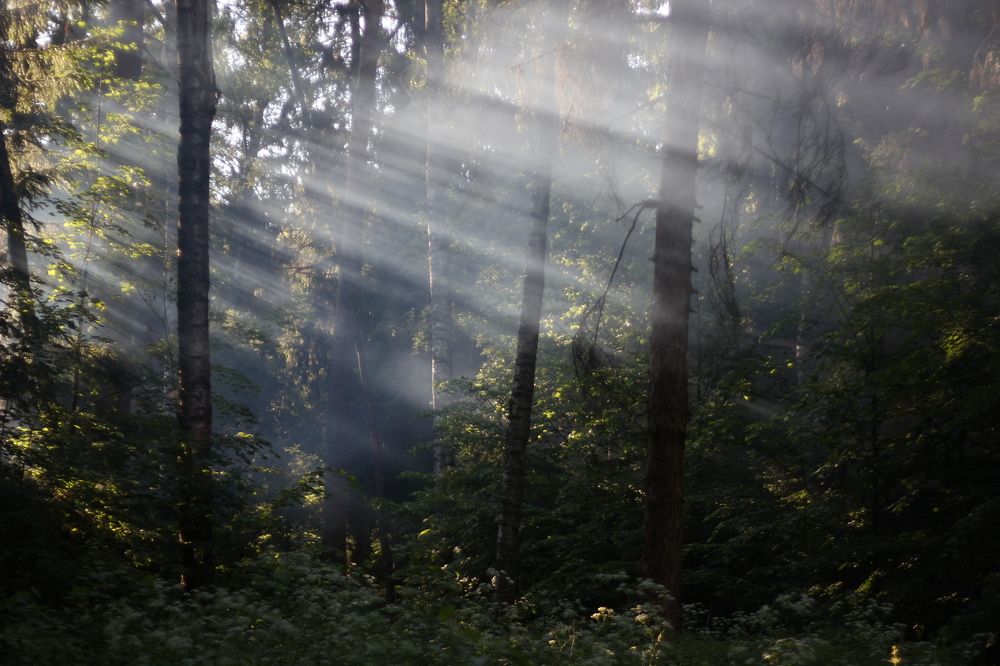 Photograph by Алексей Абратанов