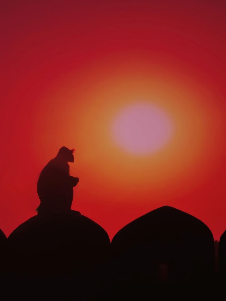 Photograph by Светлана Краюшкина