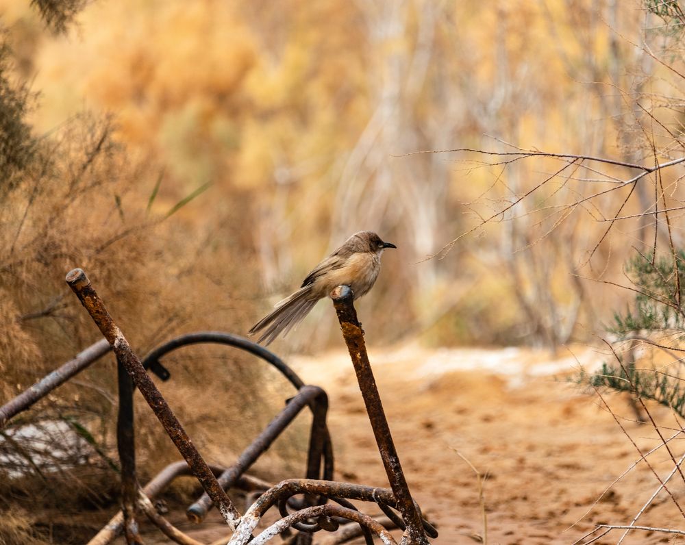 Photograph by Bilel Haouet