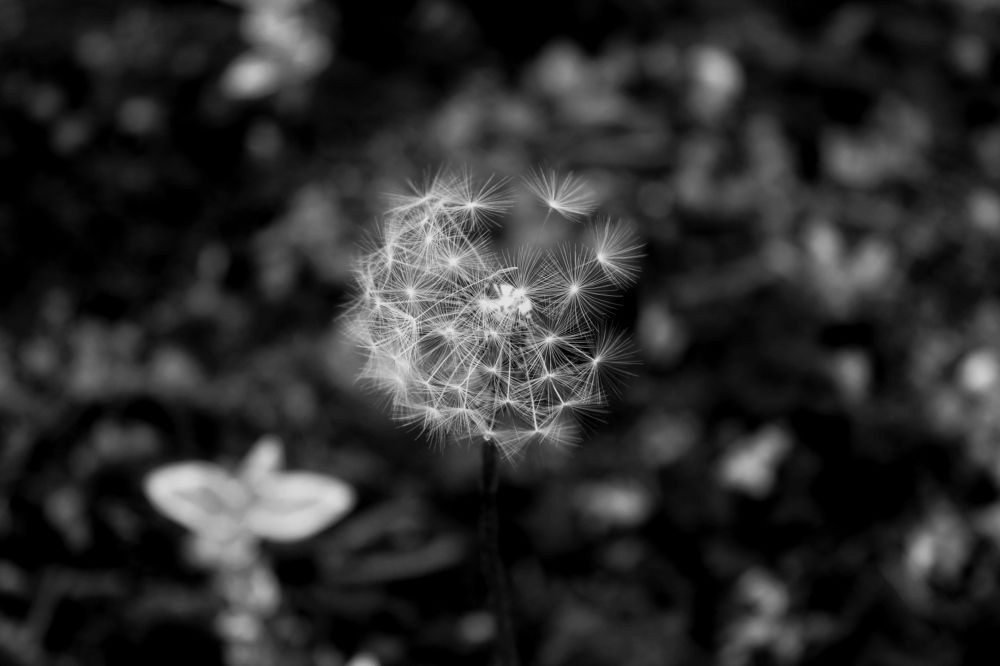 Photograph by Елена Кузнецова