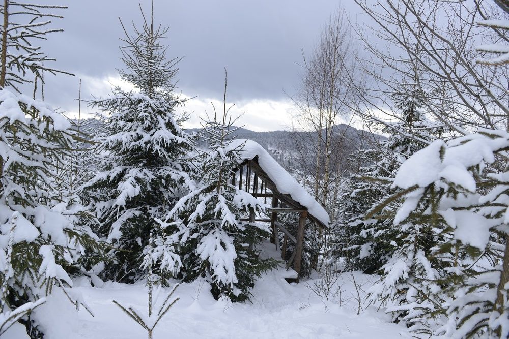 Photograph by Яна Украинец