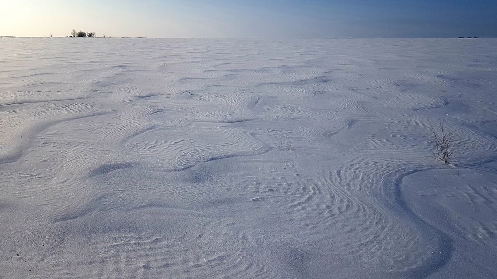 Photograph by Наталья Анисимова