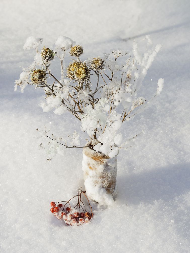 Фотография автора Рамиль Фаттахов