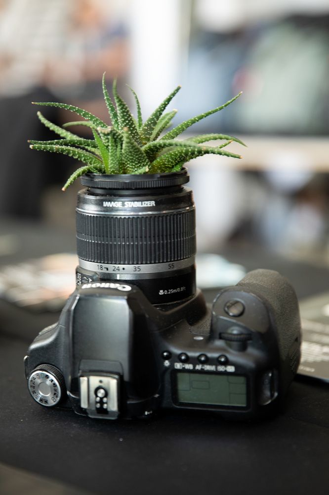 Photograph by Valery Vinnitsky