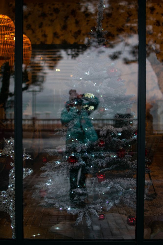 Новый год в отражении