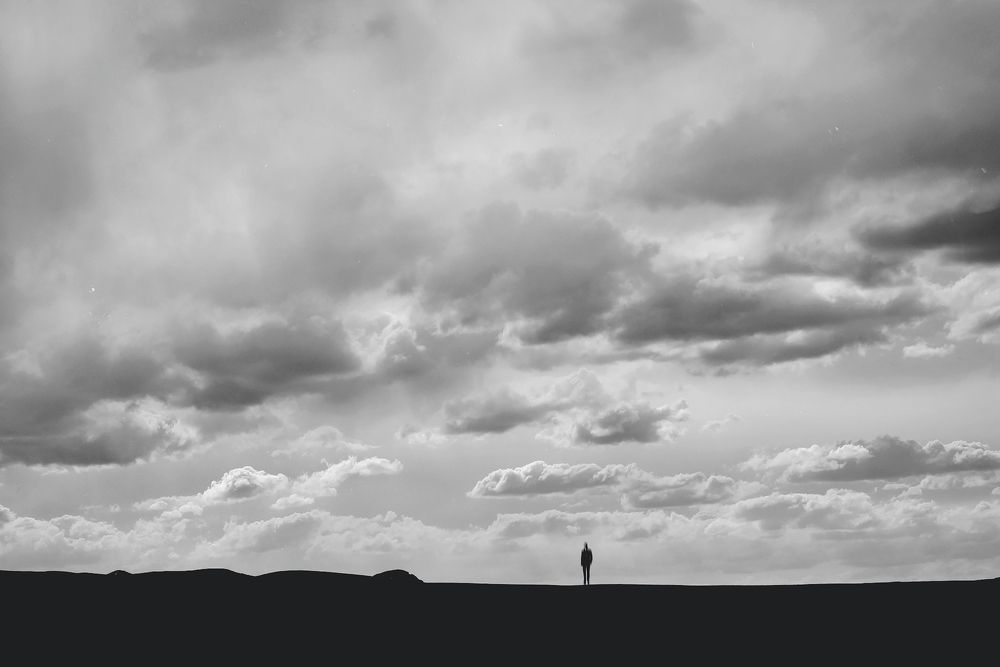 Photograph by reza lashgari