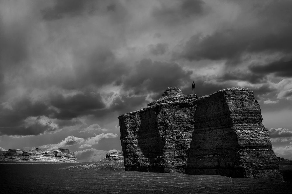 Photograph by reza lashgari