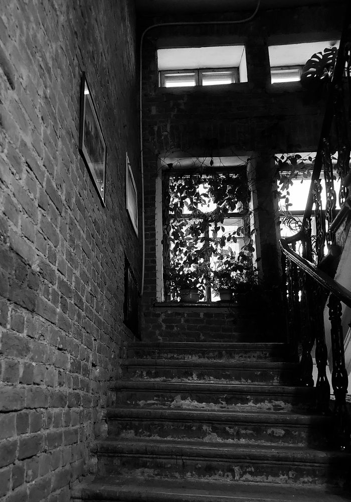 Фотография автора Мария Коледа