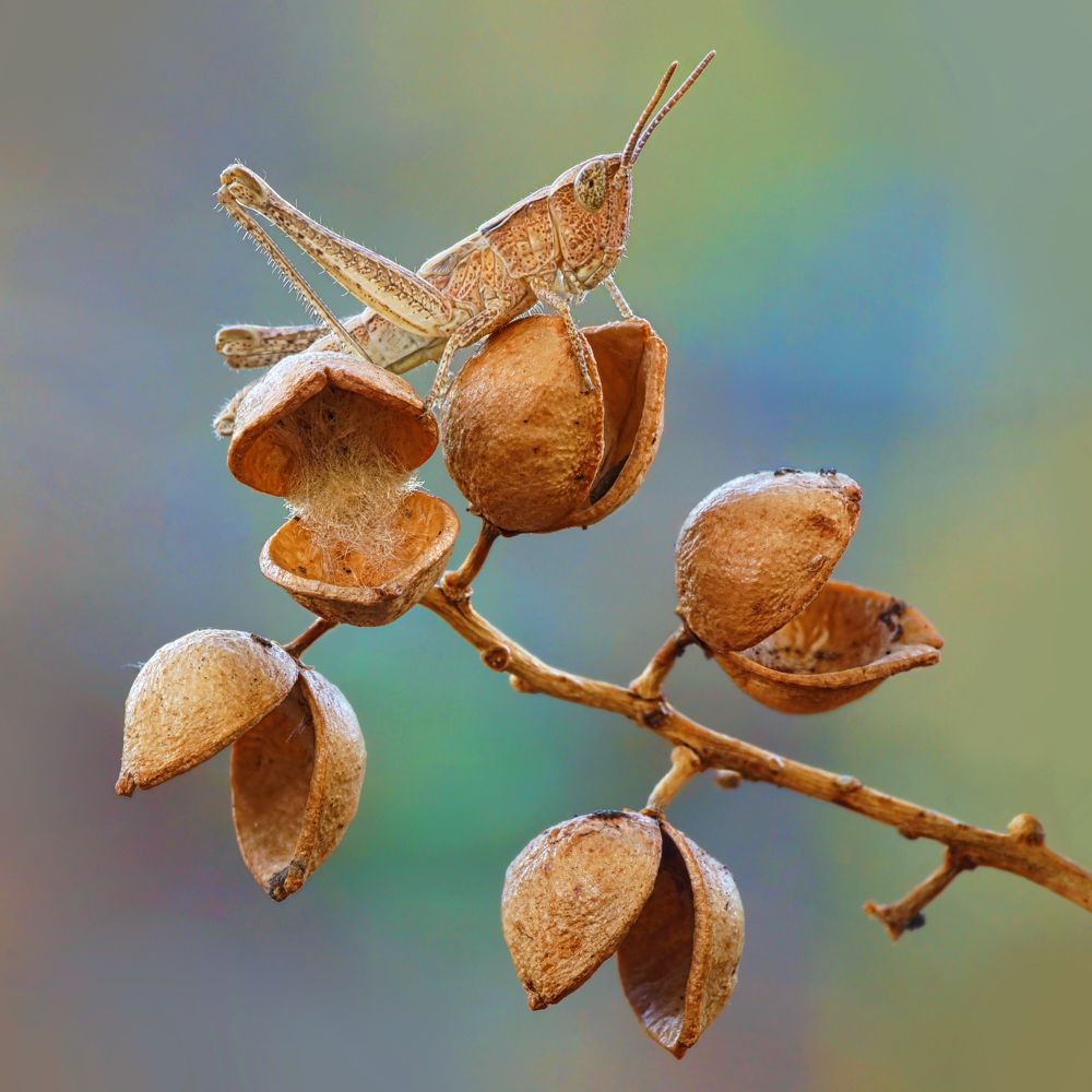 Photograph by Павел Колеснев