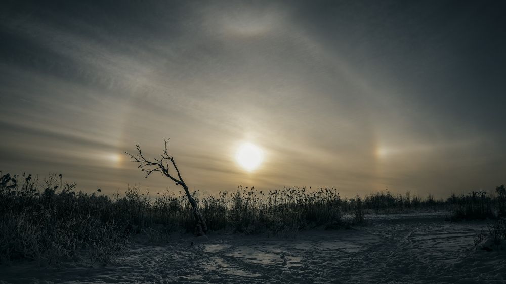 Photograph by Ольга Чуманова