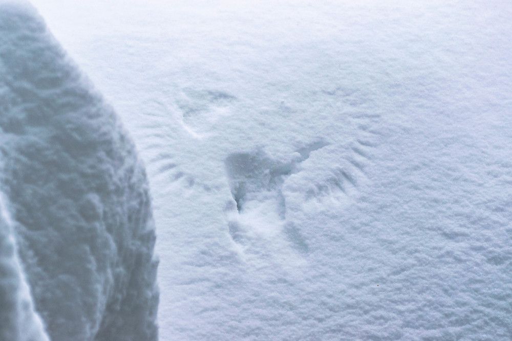 Photograph by Наталья Вялых