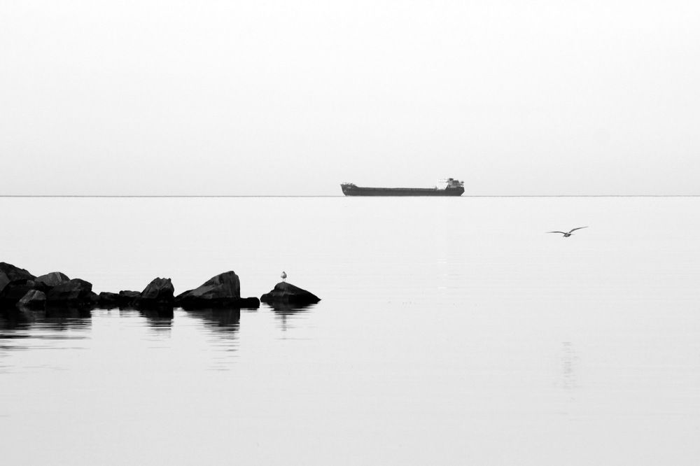 Фотография автора Елена Колосова