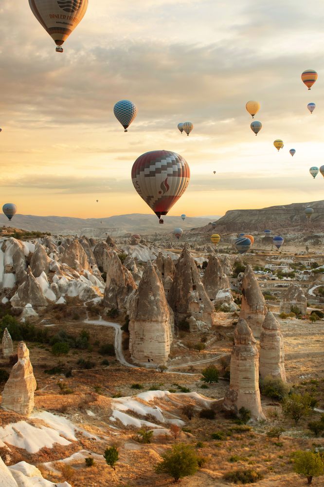 Photograph by Elisabeth