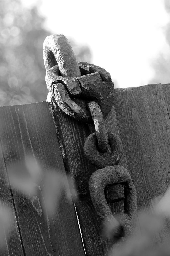 Фотография автора Елена Колосова