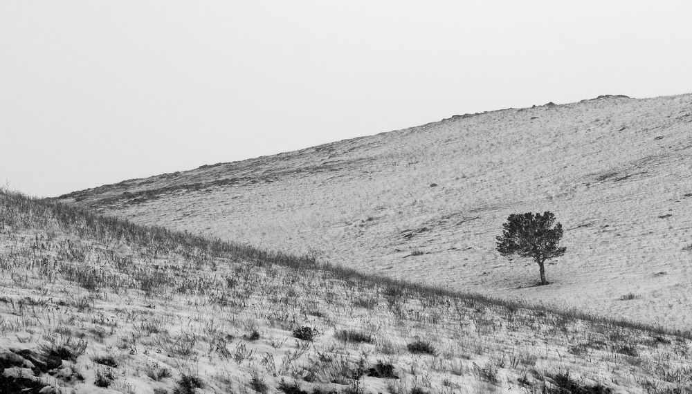 Фотография автора Елена Колосова