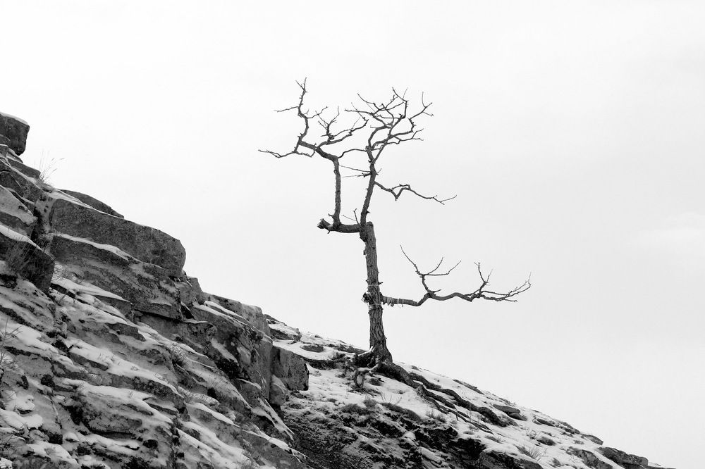 Фотография автора Елена Колосова