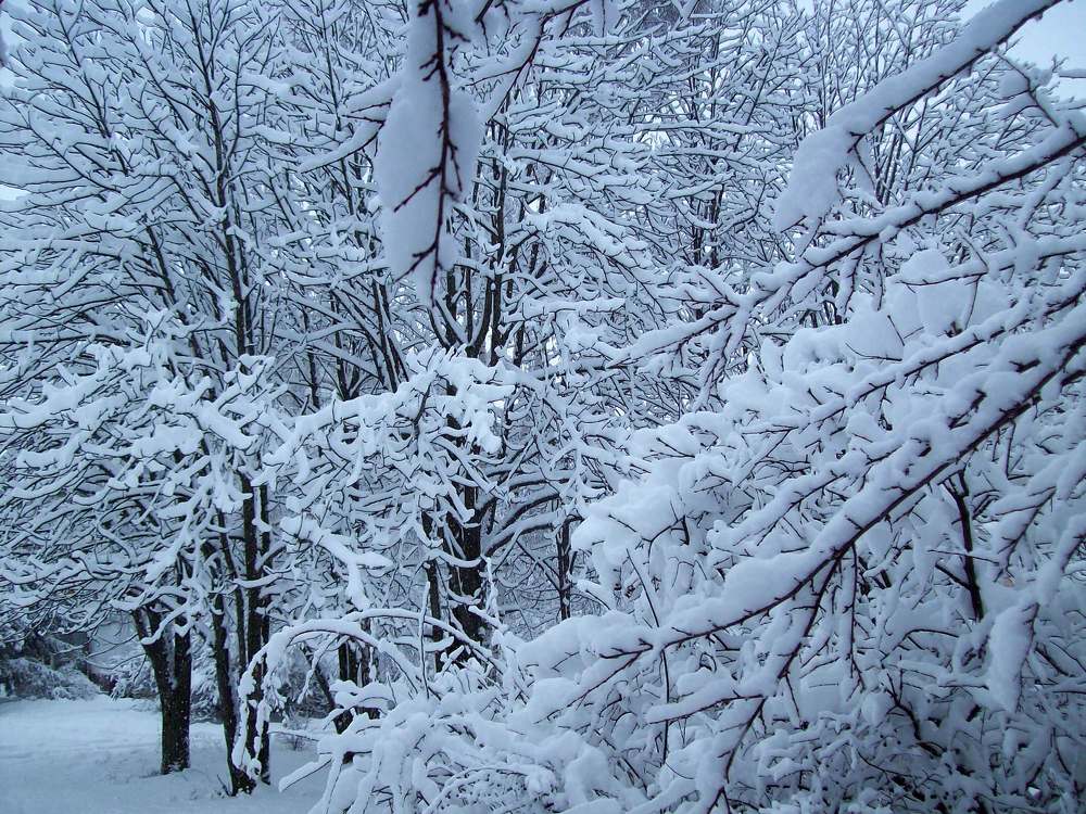 Photograph by Надежда Титова