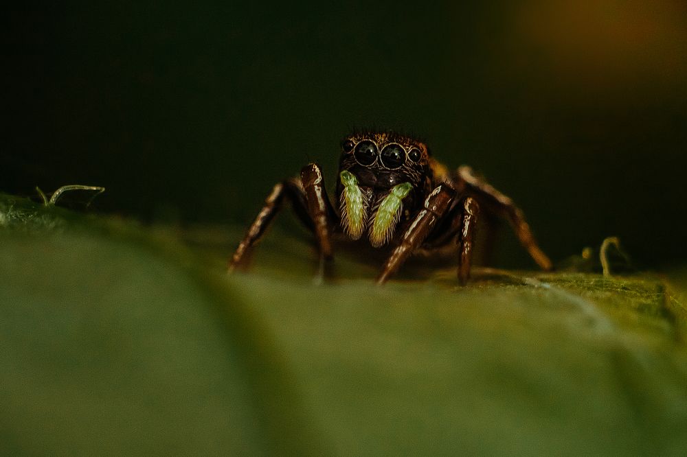 Photograph by Мария Бузыцкая