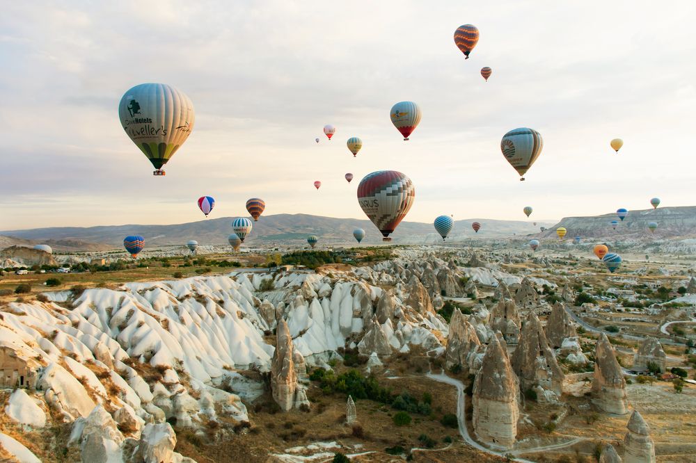 Photograph by Elisabeth