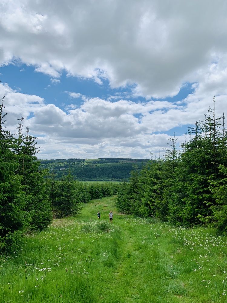 Photograph by Maria Dzene