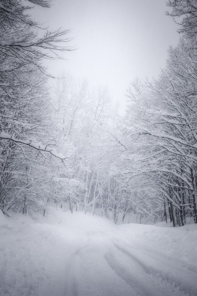 Photograph by Антон Литвин