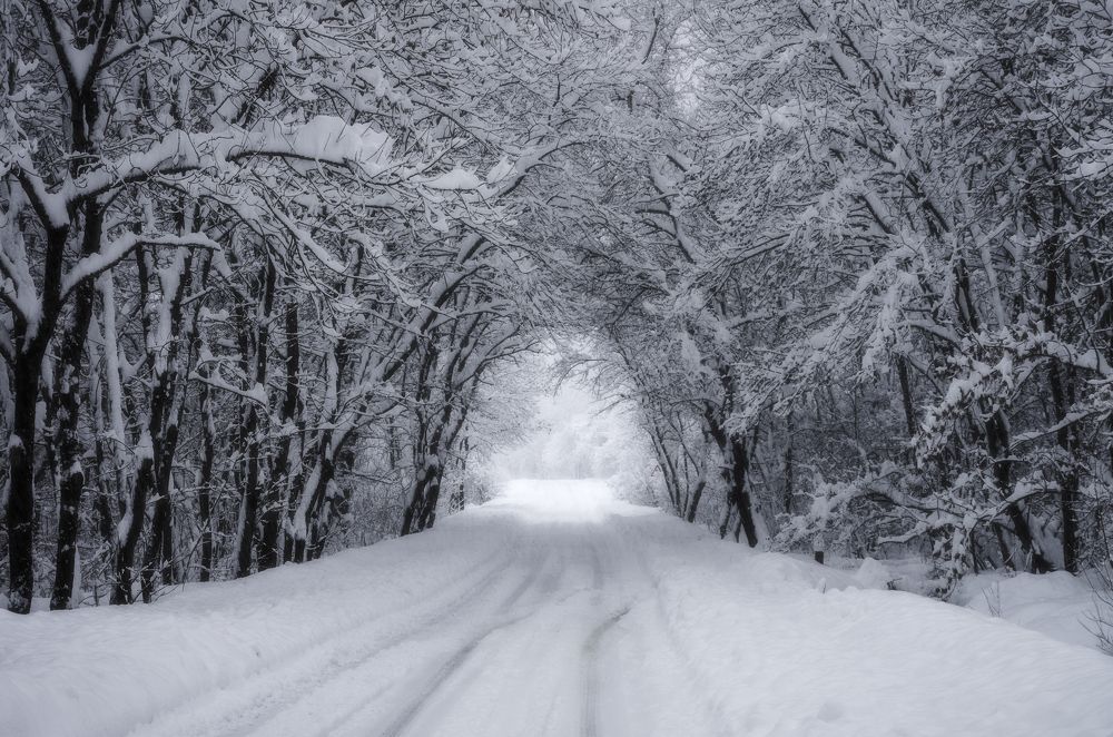 Photograph by Антон Литвин