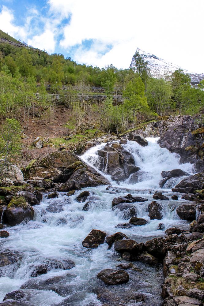 Фотография автора Ольга Войтехович
