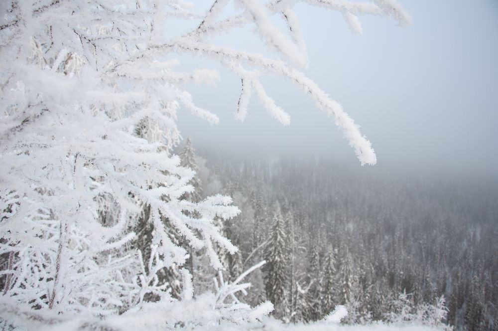 Photograph by Николай Полыгалов